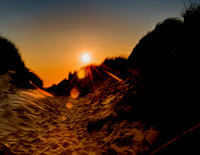Dune Sunset