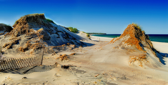 Crescent Beach Dunes